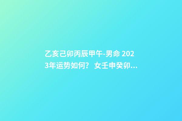 乙亥己卯丙辰甲午-男命 2023年运势如何？ 女壬申癸卯丁亥辛丑，2023年运势怎么样，谢谢-第1张-观点-玄机派